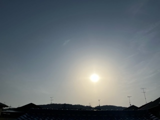 おはよう2025/4/8