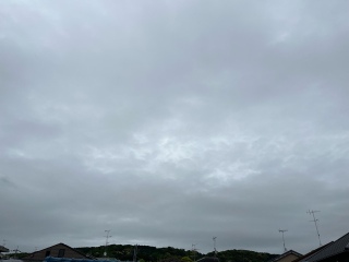 ͂悤2025/5/10