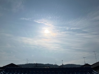 ͂悤2025/5/15