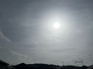 ͂悤2025/5/19