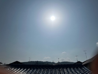 ͂悤2025/5/20