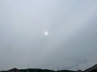͂悤2025/5/29